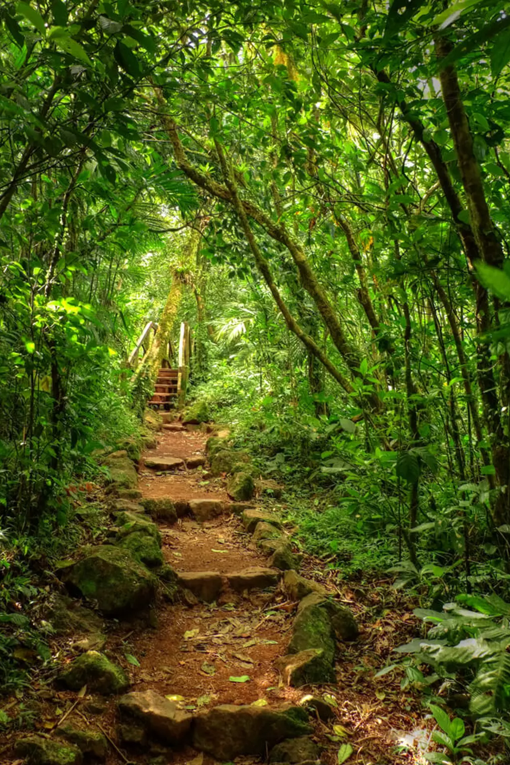 img-02-free-img lugares de ecoturismo en el mundo mombacho nicaragua