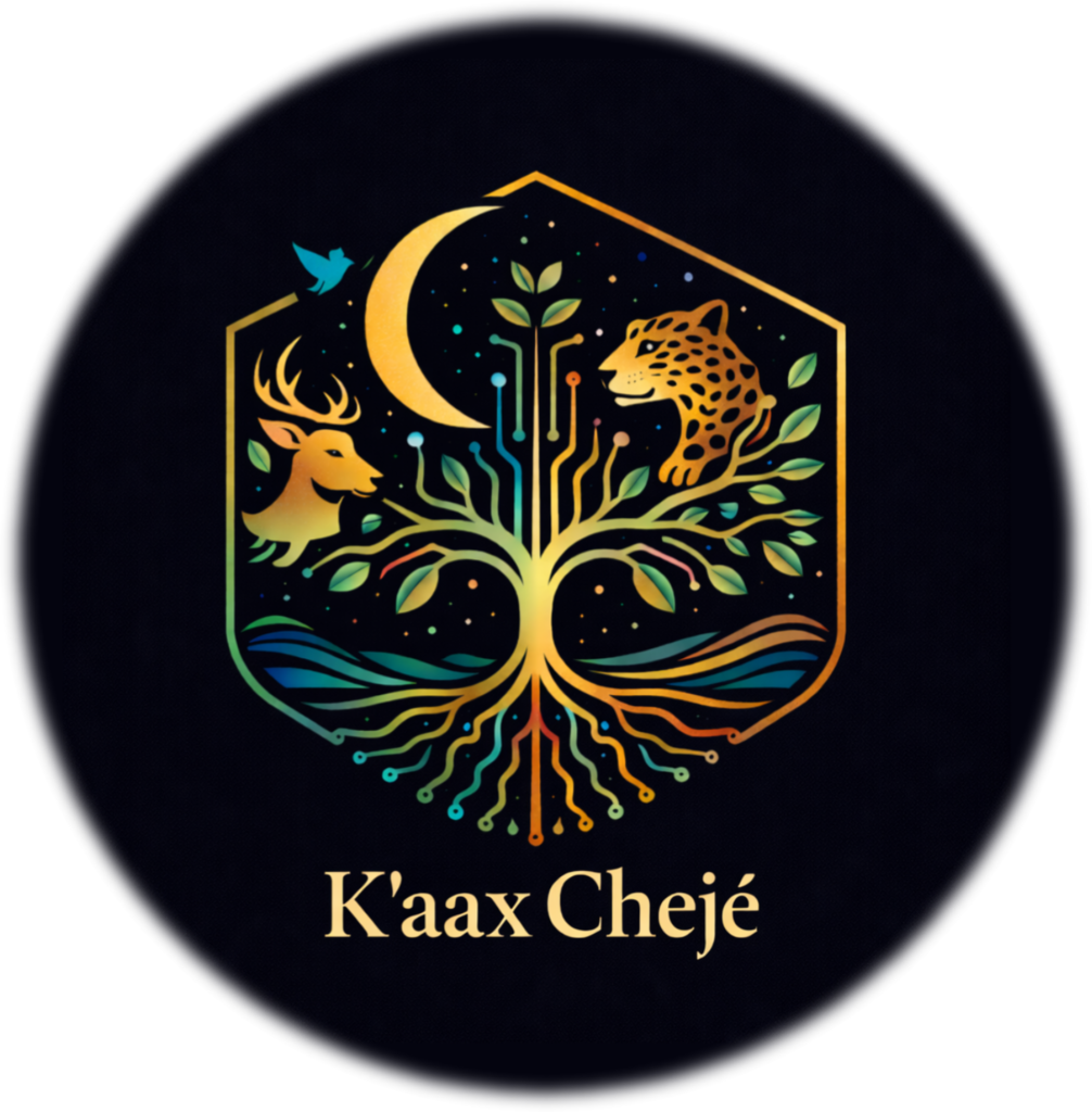 kaax cheje logo redondo